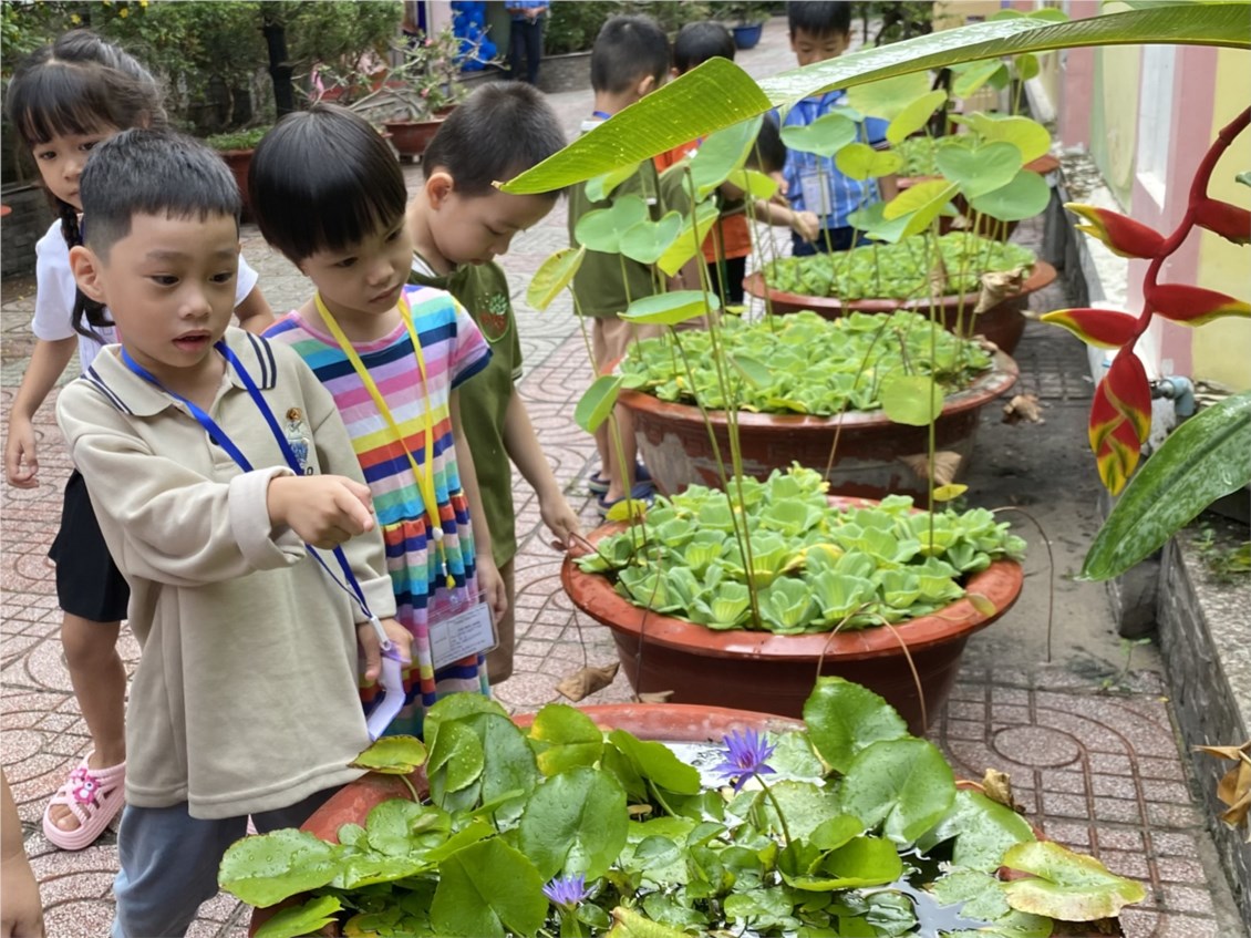 Ảnh đại diện